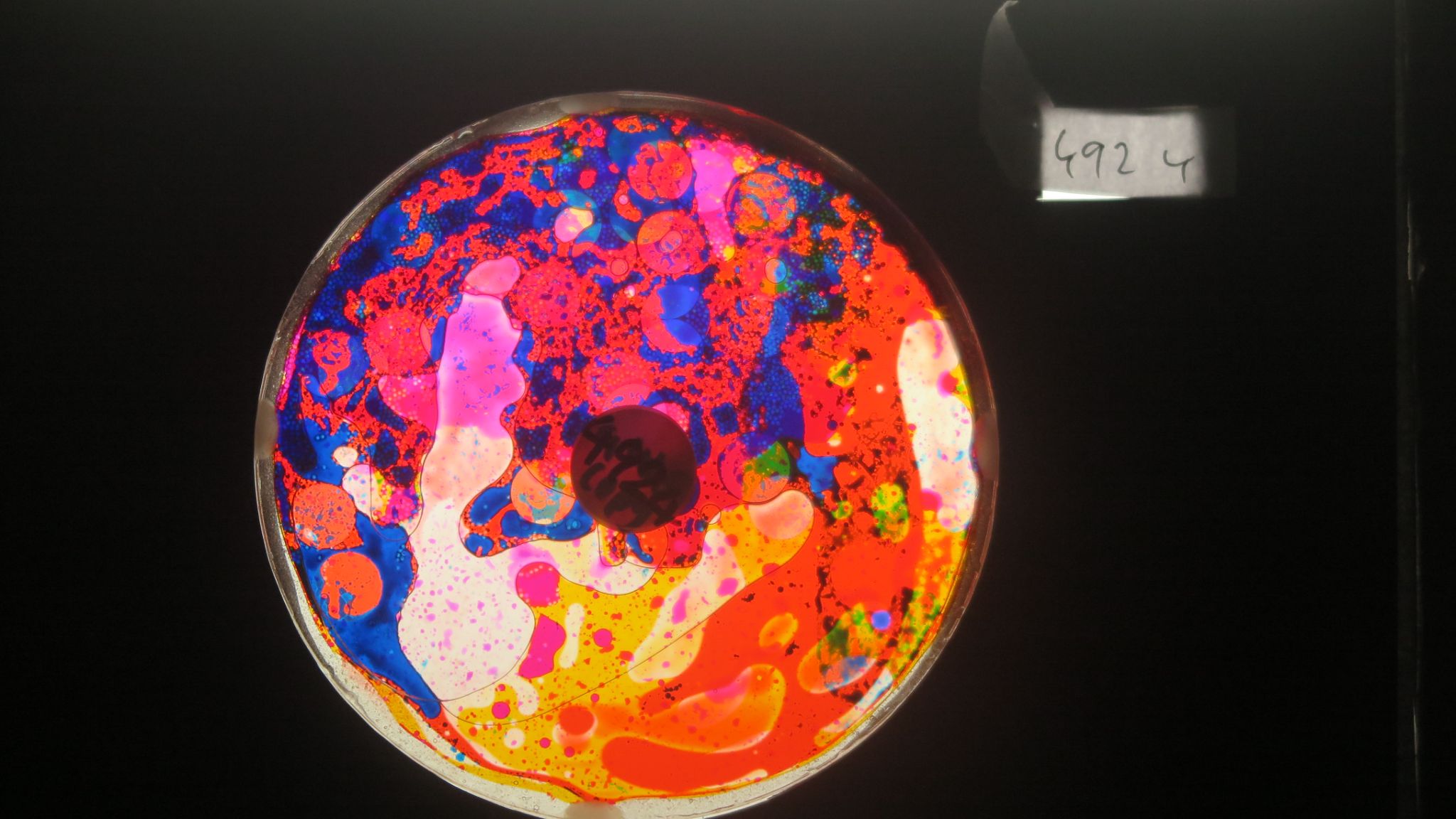 BV4924 bubble vision oil wheel